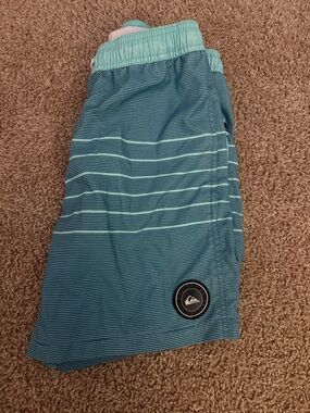 Quiksilver Aqua and Mint Striped men’s Swim Shorts